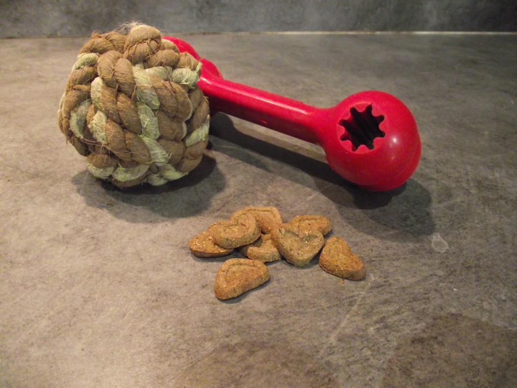 Amicalement éduqué Gaëlle morin
cynologiste éducateur canin éducation canine comportementaliste
Tarascon