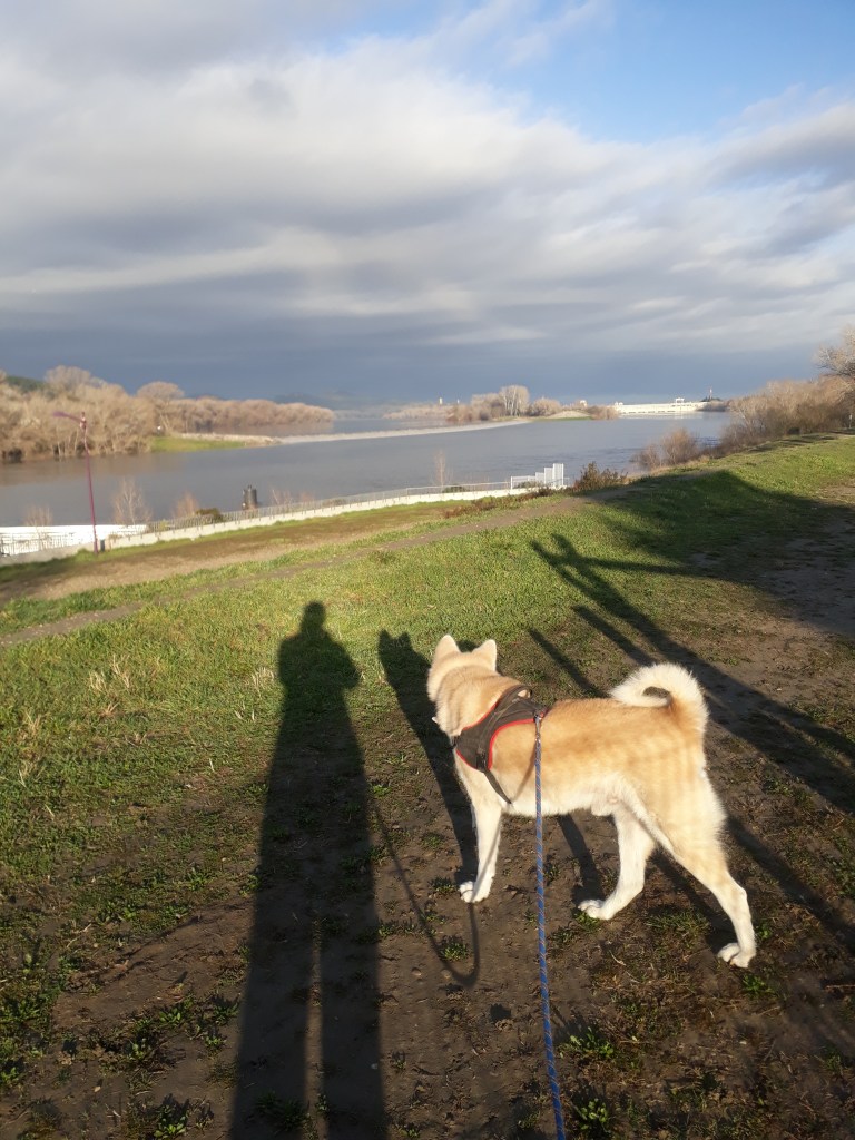 Amicalement éduqué Gaëlle morin
cynologiste éducateur canin éducation canine comportementaliste
Tarascon