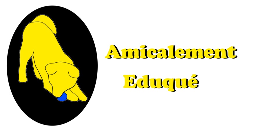 Amicalement éduqué – Education canine – Tarascon et ses alentours
