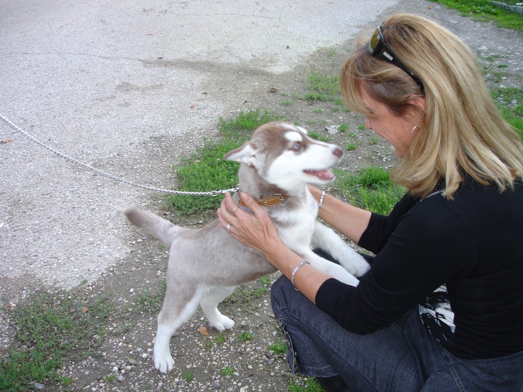 Amicalement éduqué Gaëlle morin
cynologiste éducateur canin éducation canine comportementaliste
Tarascon
Consentement